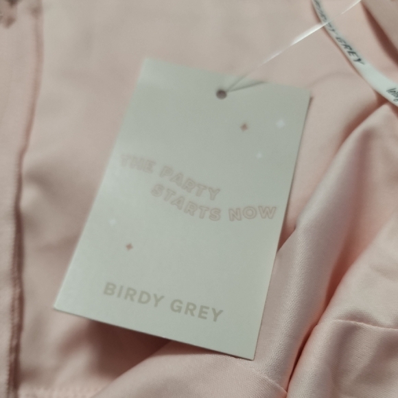 Birdy Grey Gwennie Dress
Chiffon Blush Pink - Picture 5 of 7